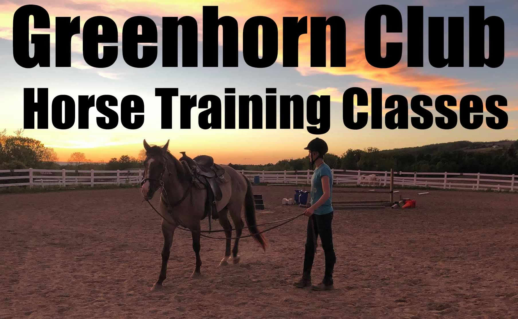 Greenhorn Horse Training Club